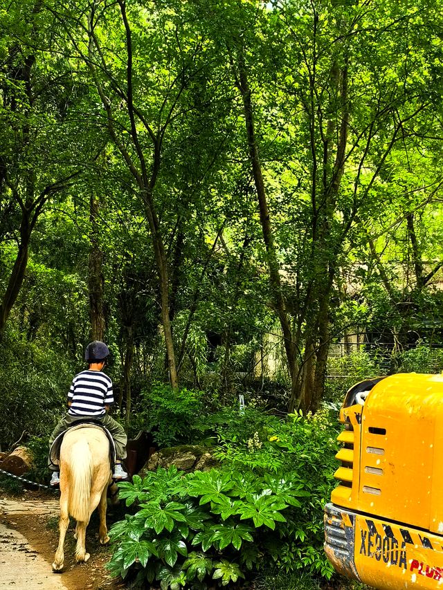 遊覽千年府城，住可親芳草地（二）