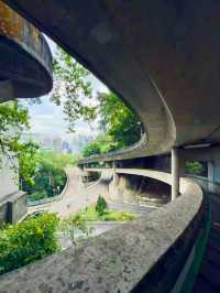 Free City Walk in Hong Kong From Central to Victoria Peak!