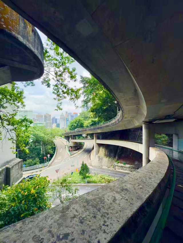 Free City Walk in Hong Kong From Central to Victoria Peak!