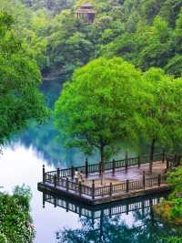 九如山保姆級路線，呢個先係夏天正確打開方式