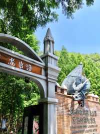 🌊江浙滬必衝！安吉這場漂流直接封神💥