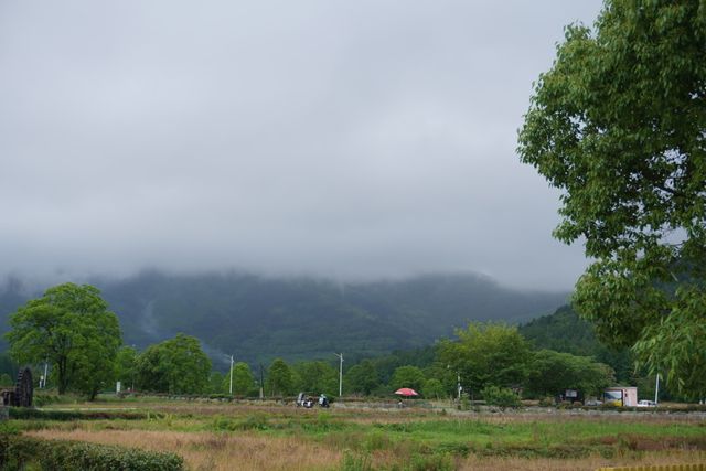 宏村旅行攻略，睇呢篇就夠啦