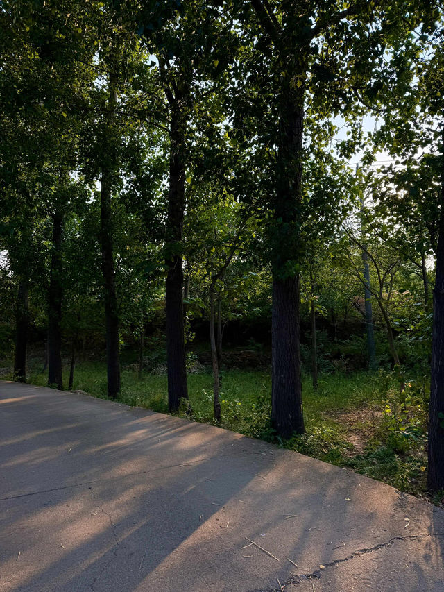 短暫的放空時光～#住在森林裡的家
