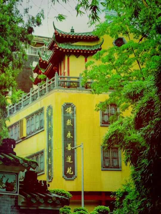 여름날의 낭만, 마카오 노렴약공원(盧廉若公園)에서 즐기는 힐링 타임​
