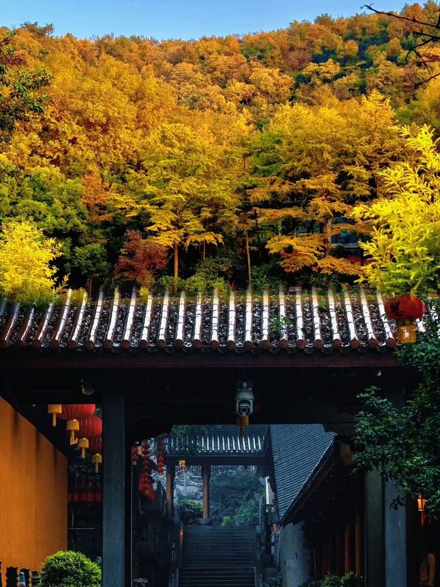 杭州：一城煙雨半城湖，我在江南的畫卷裡等你"