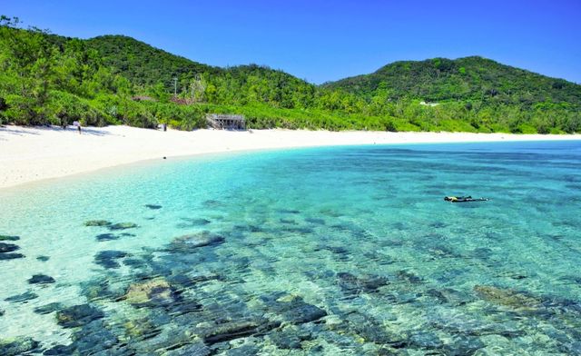 今個夏天/真係唔嚟沖繩潛水？