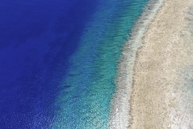 今個夏天/真係唔嚟沖繩潛水？