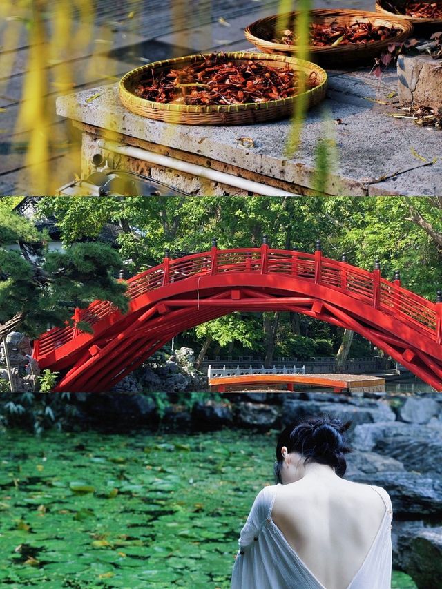 揚州景點全攻略，暑期跟住咁玩，輕鬆避開伏位
