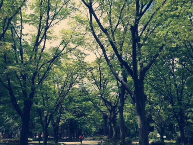 大阪隱世綠洲！難波公園沉浸式體驗報告】**  