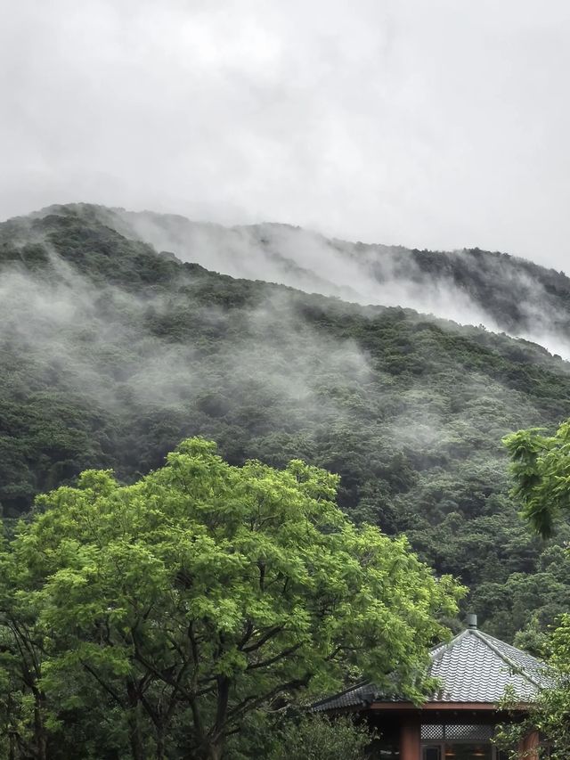 鳳凰山下的溫泉秘境
