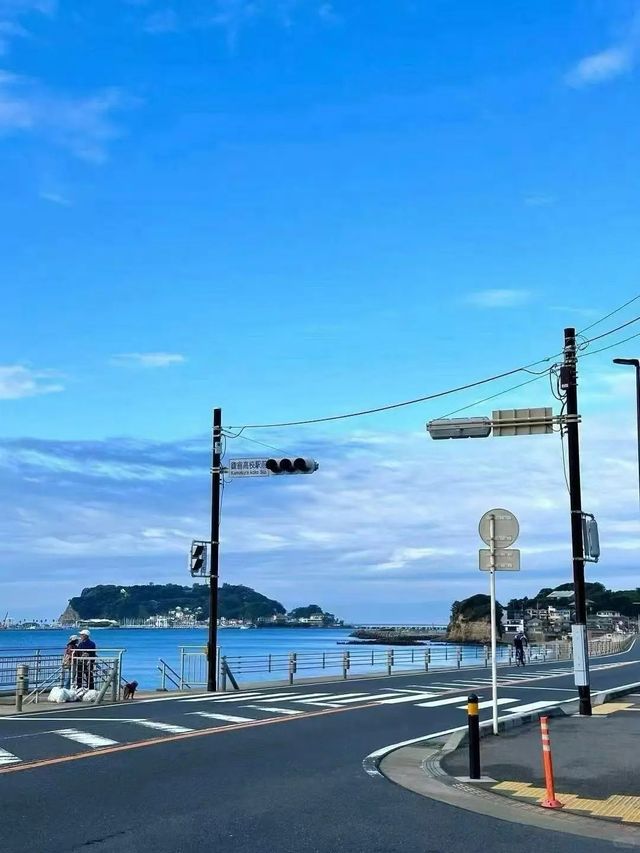 今日份的鎌倉浪漫已送到