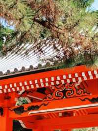 大阪秘境！住吉大社：千年神域的潮濕浪漫】**  