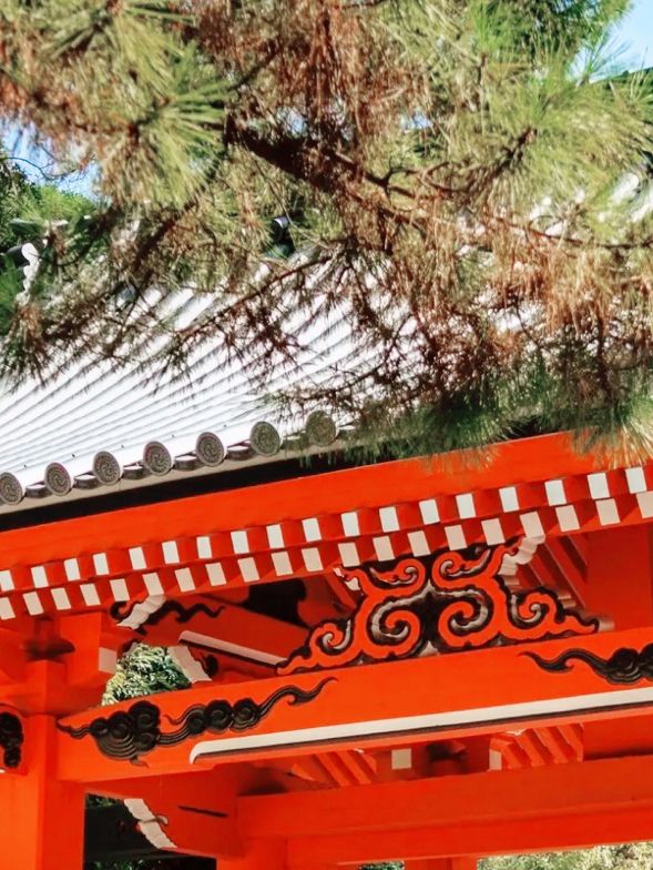大阪秘境！住吉大社：千年神域的潮濕浪漫】**  