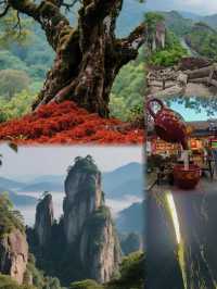 拴Q，去過武夷山嘅人把口太密啦，咁都唔講！！！