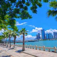 喺鋼琴碼頭聽場免費音樂會!鼓浪嶼嘅浪漫,99%嘅人都錯過咗