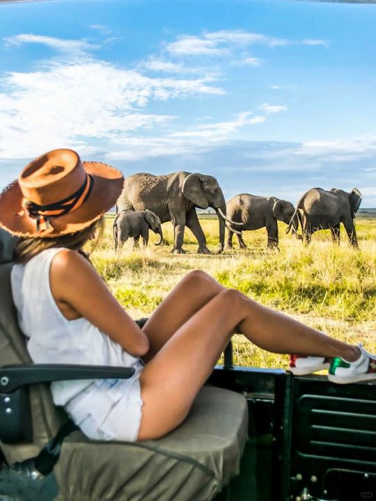 20.000+ lượt chơi 100.000 lượt chất lượng Chuyến đi Ngày Quốc khánh đến Kenya đáng để khóc