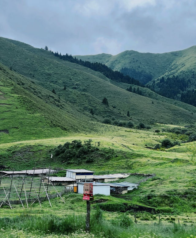 國慶反向旅行！甘南扎尕那秘境攻略，避開人潮闖入人間仙境