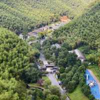 This is the Legendary Bamboo Forest of Crouching Tiger