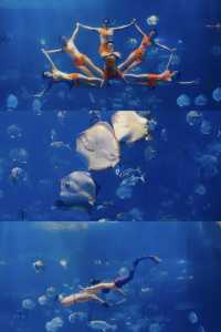 海底樂園必打卡親子最愛夢幻海洋館攻略