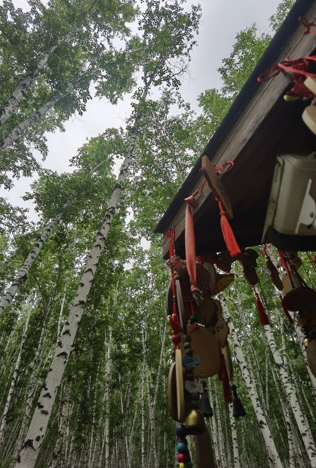 呼倫貝爾騎遊指南