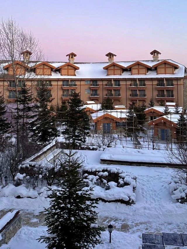 不是芬蘭去不起，是長白山的雪橇更震撼!!!