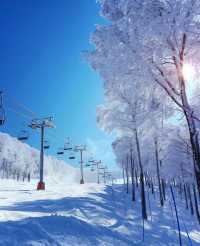 亞布力暖居別墅·3天2晚深度遊攻略：滑雪、溫泉、熊貓一站式打