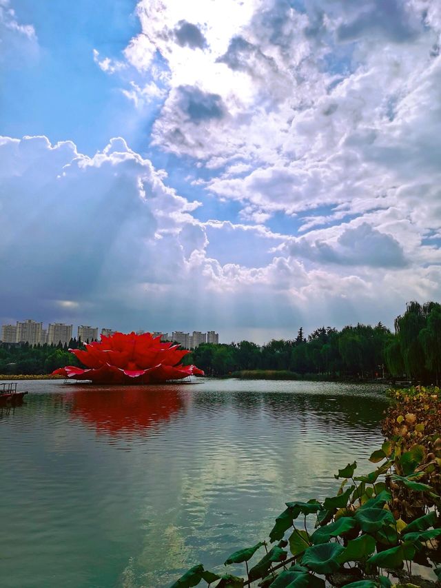 雨後植物園美如仙境隨手拍都是大片質感