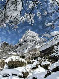 告別人擠人·日本資深玩家強推小眾玩雪路線