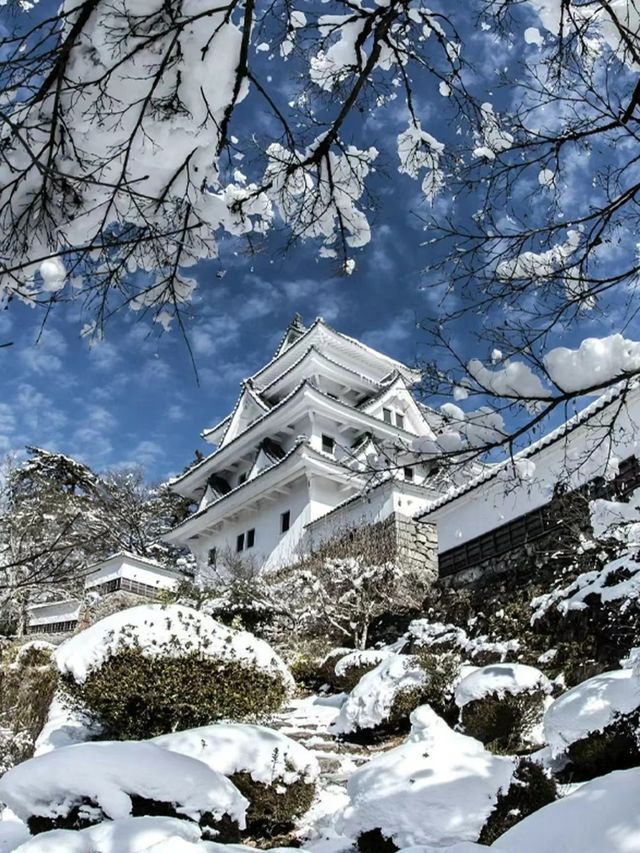 告別人擠人·日本資深玩家強推小眾玩雪路線