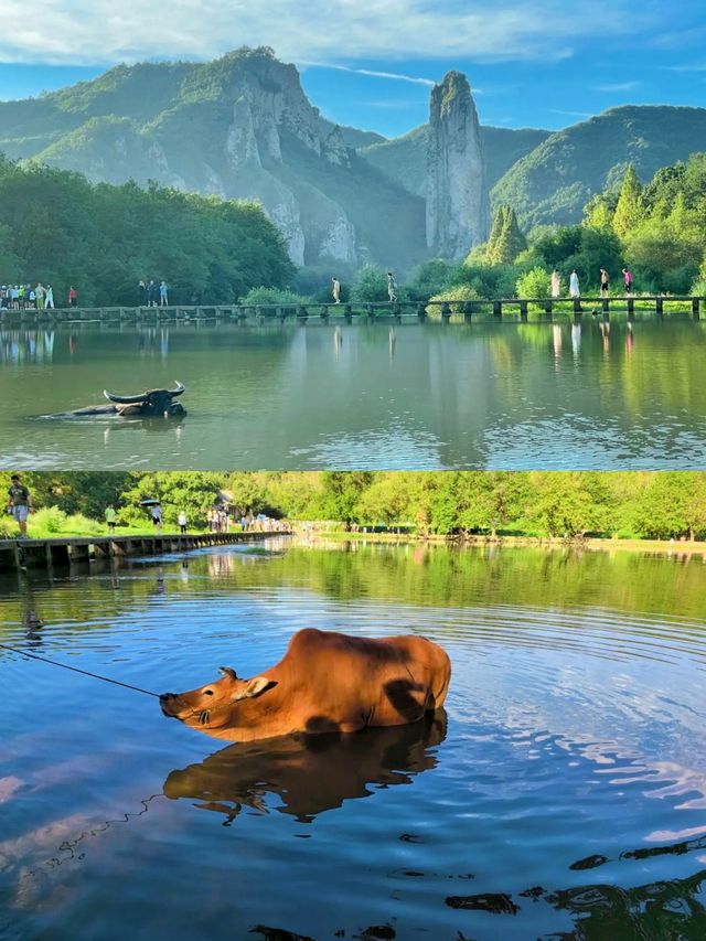 【縉雲仙都遛娃保姆級攻略】國慶親測！輕鬆不累解鎖仙氣與童趣