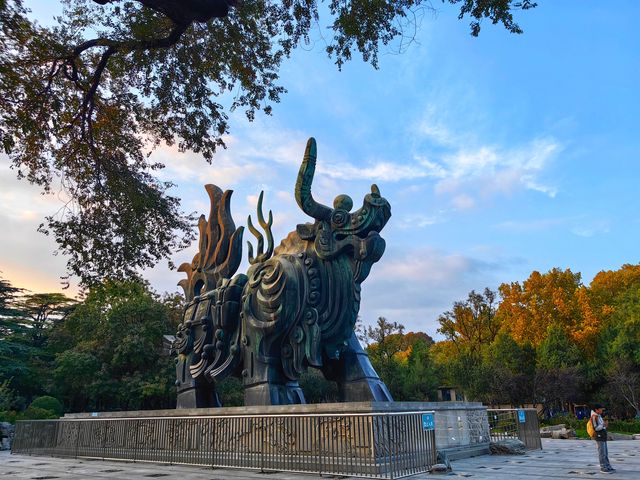 濟南動物園新晉頂流！2個月的小象寶寶必看，治癒一切不開心！