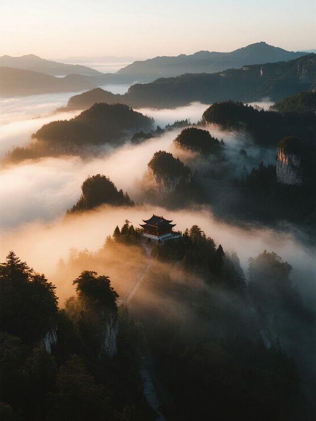 盤錦紅海灘輕戶外計劃！小火車騎行+濕地觀鳥的休閒日