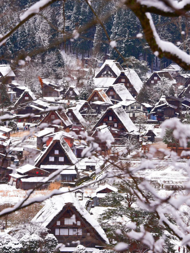 走進日本童話世界，邂逅冬日雪中精靈