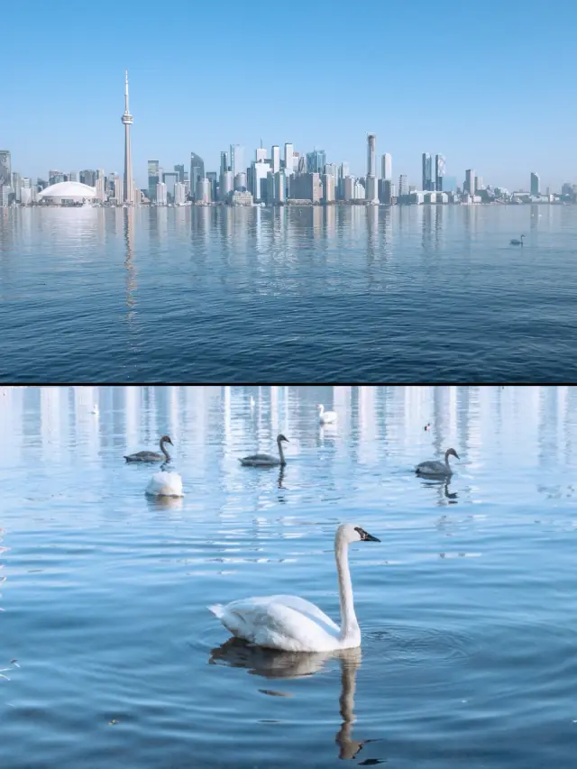 A must-visit in Toronto! Complete guide to roaming Wonderland Island