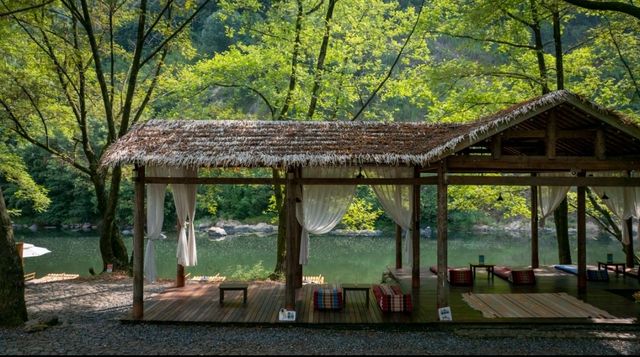 秋日竹林書香的靜謐時光