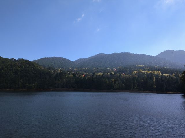 霧隱嵐山火燭幽
