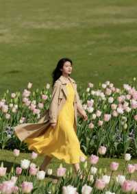 春日限定粉色龍梅花海打卡全攻略!避開人潮小技巧