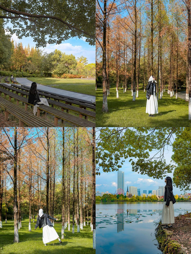 成都賞秋指南個絕美的秋日氛圍感公園! 成都賞秋指南個絕美的秋日氛圍感公園!