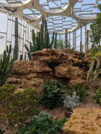 上海世博文化公園溫室花園超全攻略