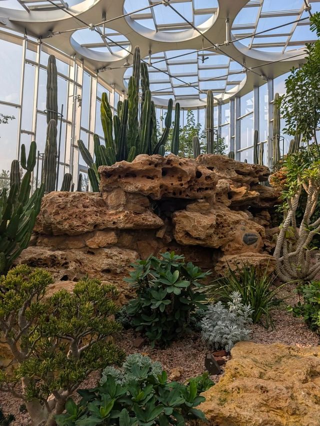 上海世博文化公園溫室花園超全攻略