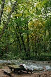 青森奧入瀨溪流+十和田湖一日散步路線