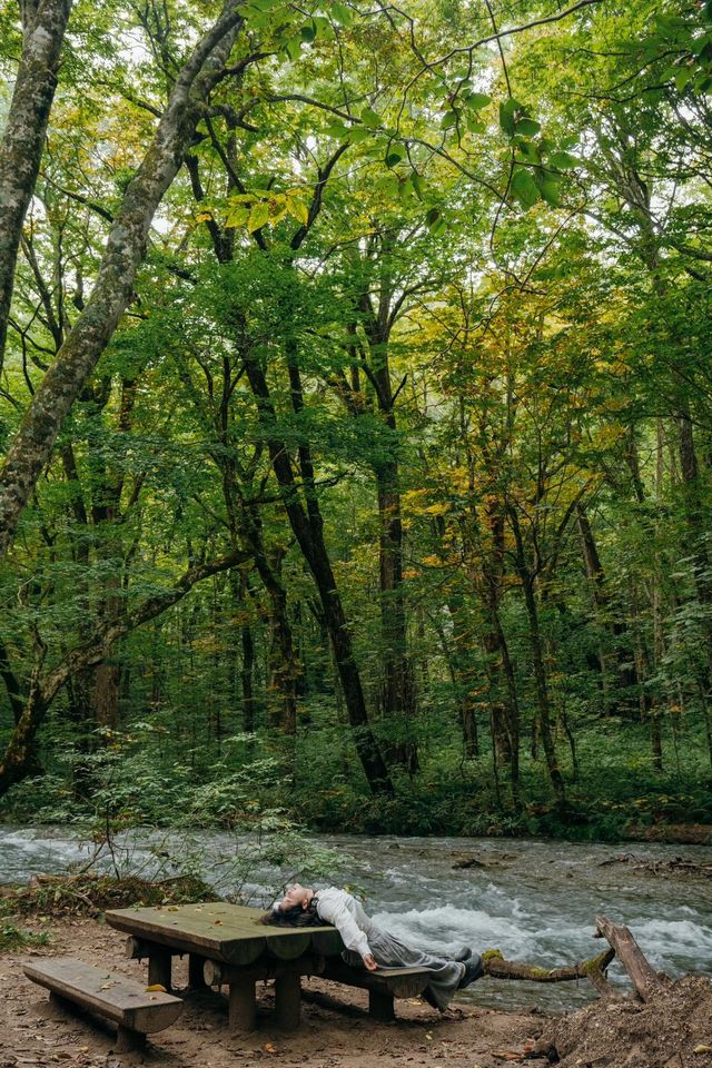 青森奧入瀨溪流+十和田湖一日散步路線 青森奧入瀨溪流+十和田湖一日散步路線