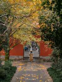 南京3日賞秋攻略看這一篇就夠了