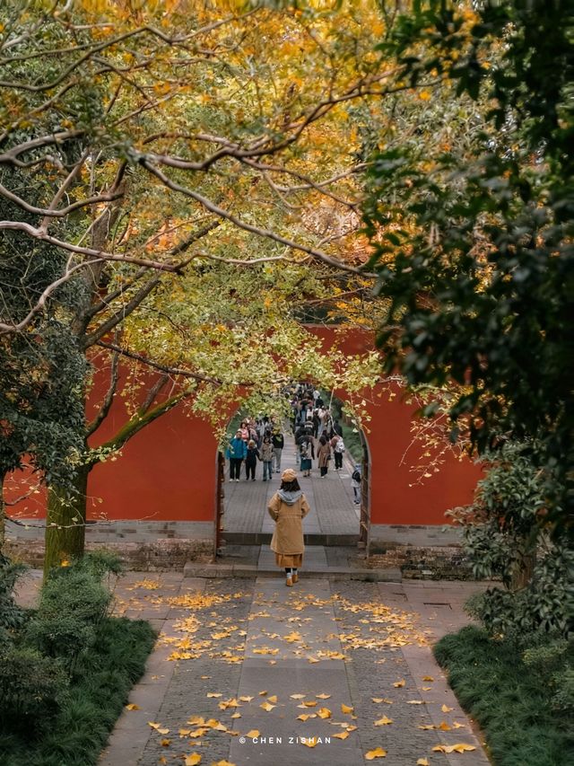 南京3日賞秋攻略看這一篇就夠了