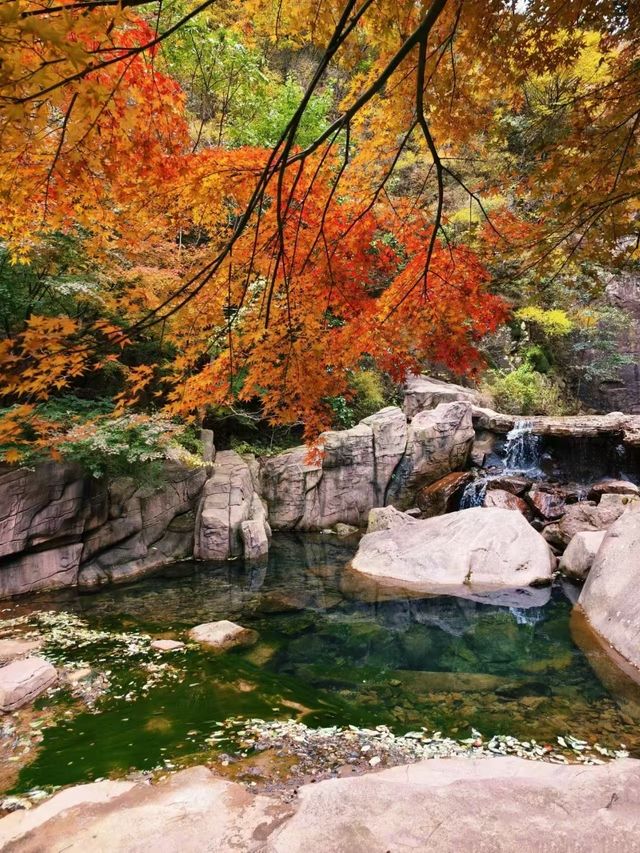 崂山北九水一日遊！保姆級路線收好