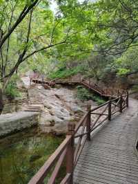 踏青何必遠行？畫眉谷仙境治癒你的春天