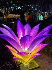 廈門夜遊頂流！園博苑花燈每週末限定浪漫