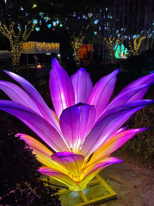 廈門夜遊頂流！園博苑花燈每週末限定浪漫