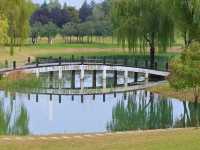 沣河梁家灘,最後的秋色