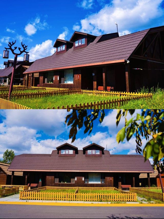 住進根河，和馴鹿一起撒歡兒！